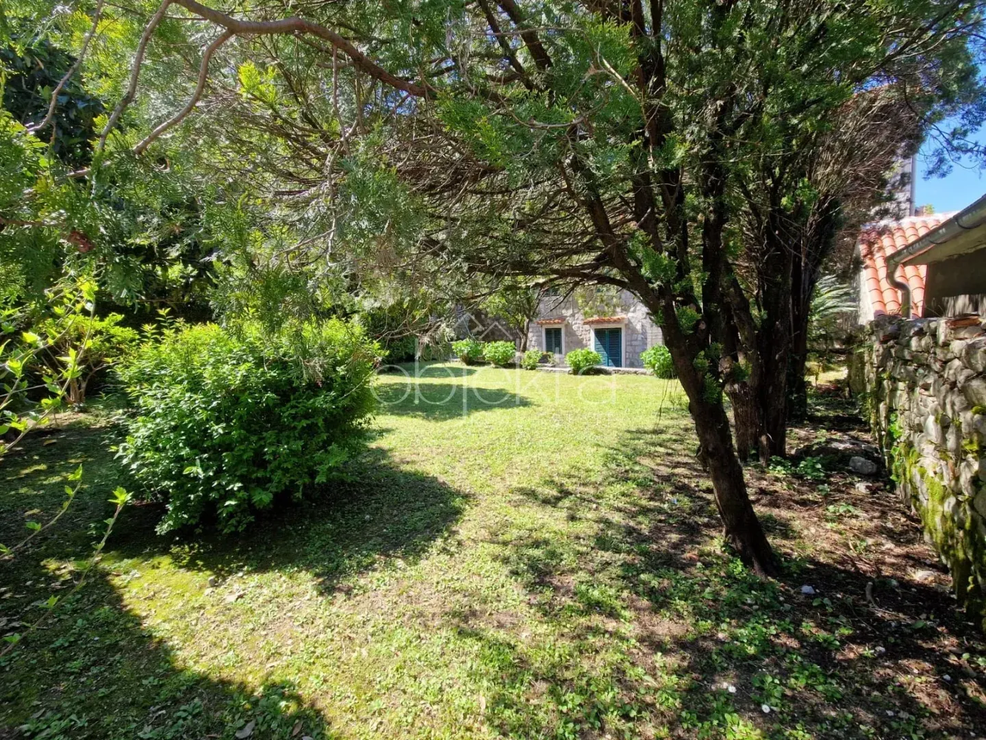Green yard with trees and lawn in front of the house.
