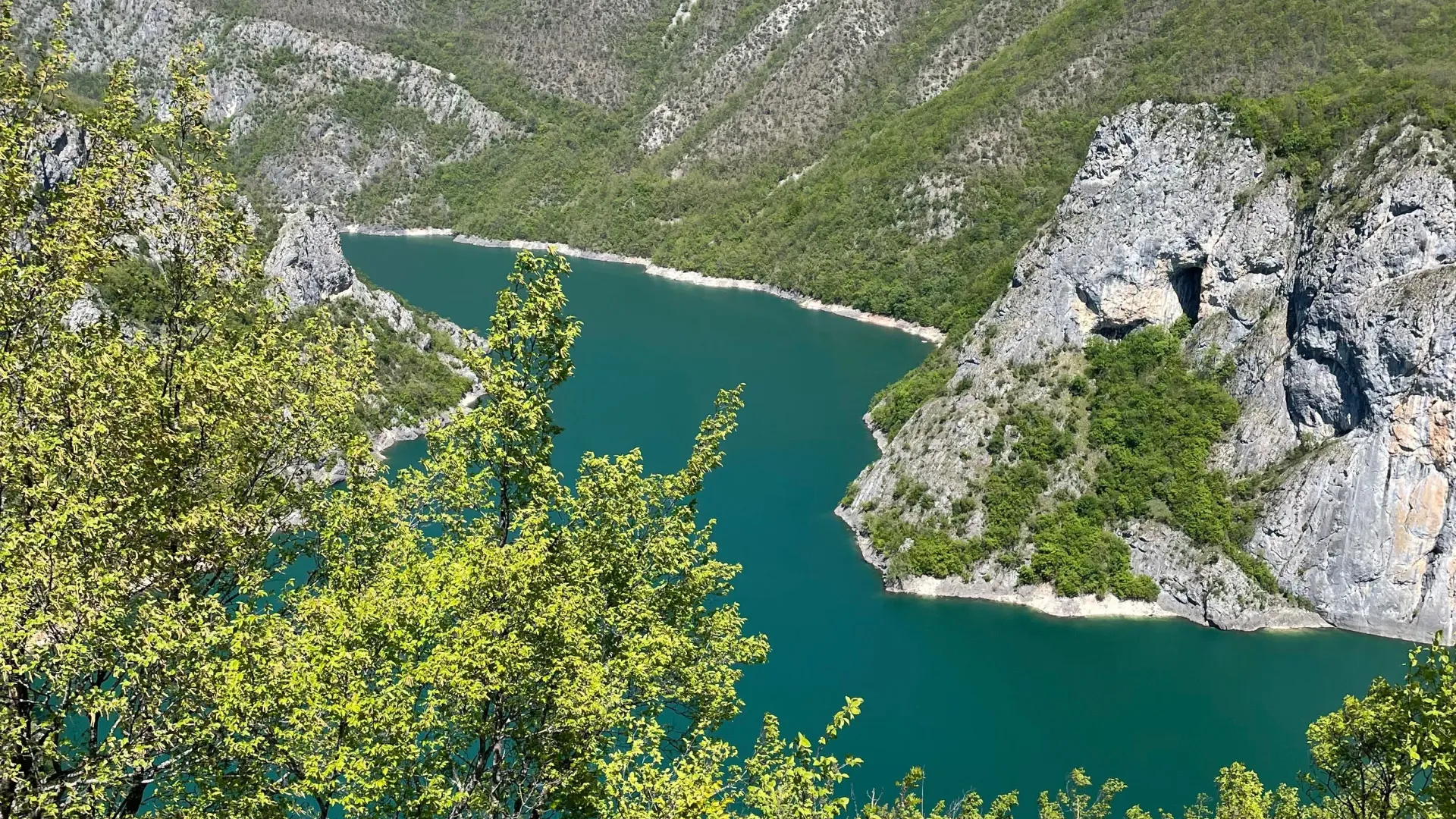 Prodaja, plac, 15000m², Donja Brezna, Plužine