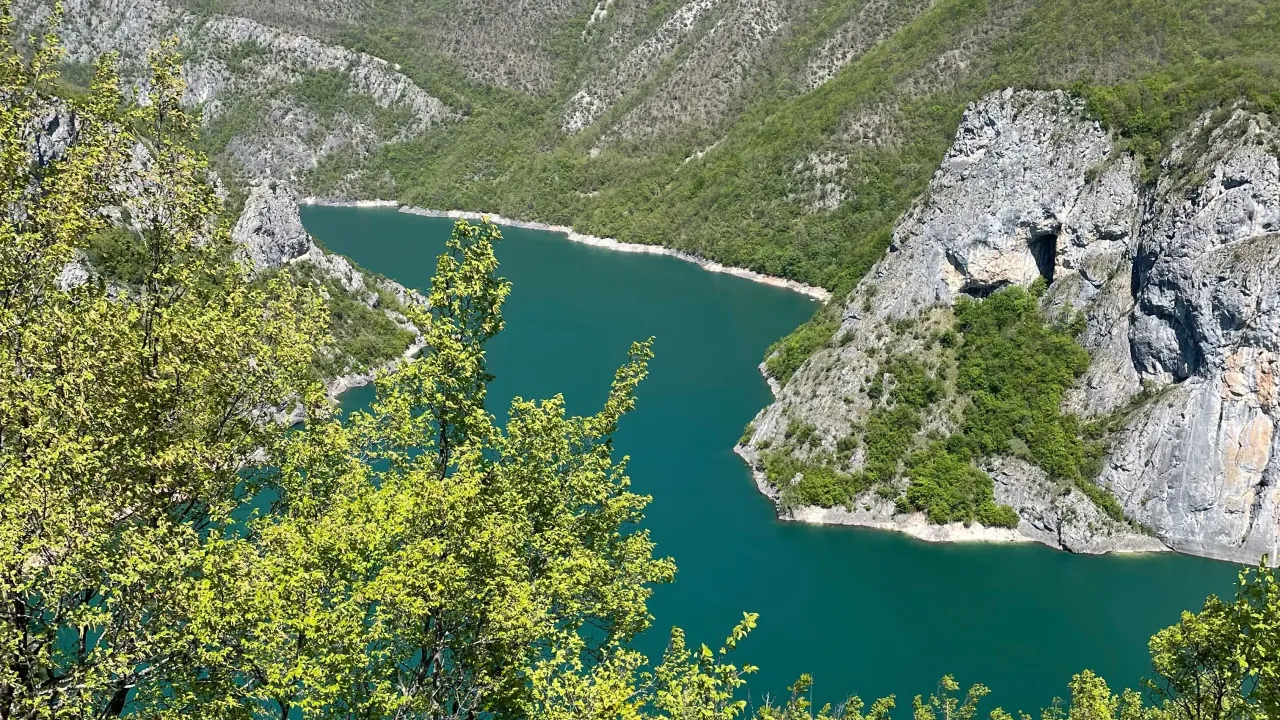 Sale, land lot, 15000m², Donja Brezna, Plužine