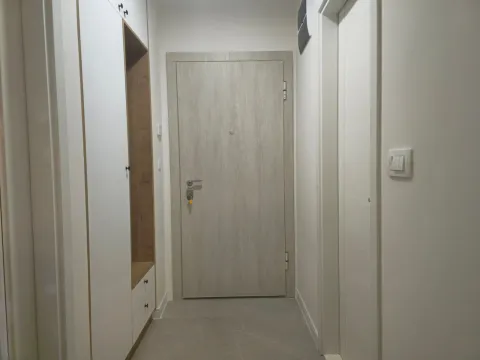 Rent, one bedroom apartment, 39m², Tuški Put, Podgorica - image 9