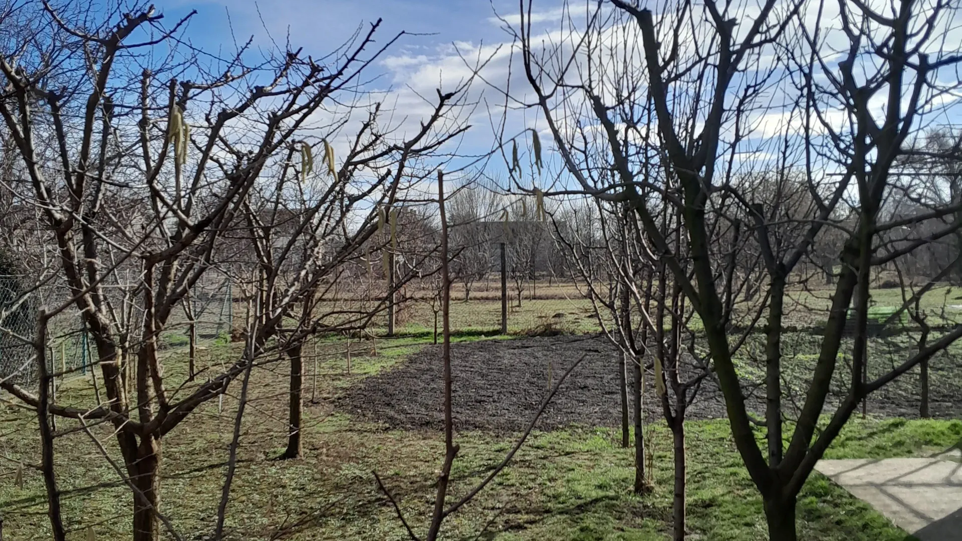 Sale, house, 200m², Bački Petrovac, Novi Sad