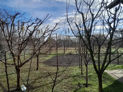 Prodaja, kuća, 200m², Bački Petrovac, Novi Sad - image 9