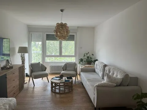 Prodaja, dvosoban stan, 65m², Zemun Sve Podlokacije, Beograd - image 1