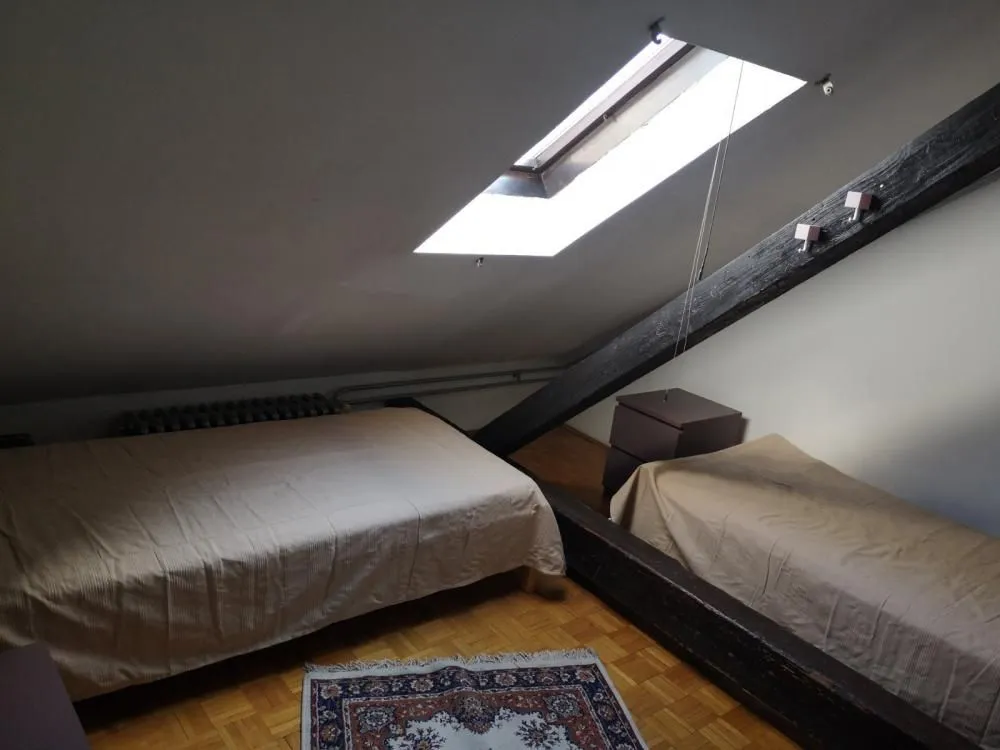 Attic bedroom furnished with two beds and a skylight.