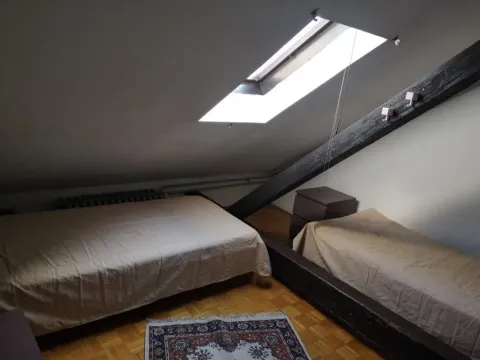 Attic bedroom furnished with two beds and a skylight. - image 8