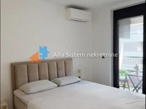 Izdavanje, dvosoban stan, 45m², Novi Beograd Blok 65, Novi Beograd Sve Podlokacije - image 9