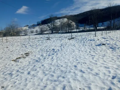 Sale, land lot, 5800m², Šavnik, Crna Gora - image 6