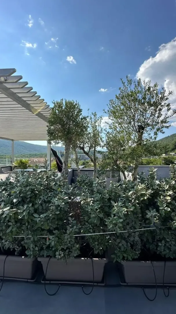 Terasa sa zelenilom, pergolom i pogledom na okolinu.