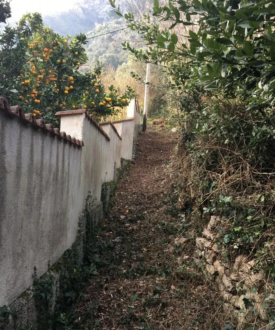 Prodaja, plac, 1600m², Muo, Kotor