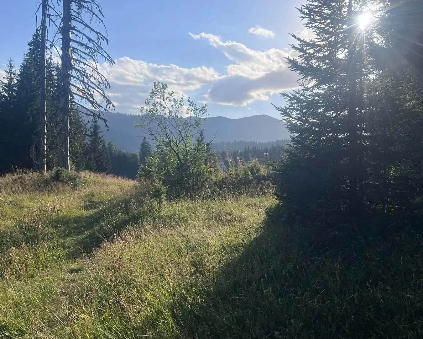 Prodaja, plac, 9000m², Žabljak, Crna Gora
