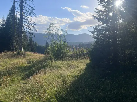 Prodaja, plac, 9000m², Žabljak, Crna Gora - image 4