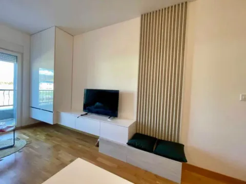 Izdavanje, garsonjera, 24m², Stari Aerodrom, Podgorica - image 5