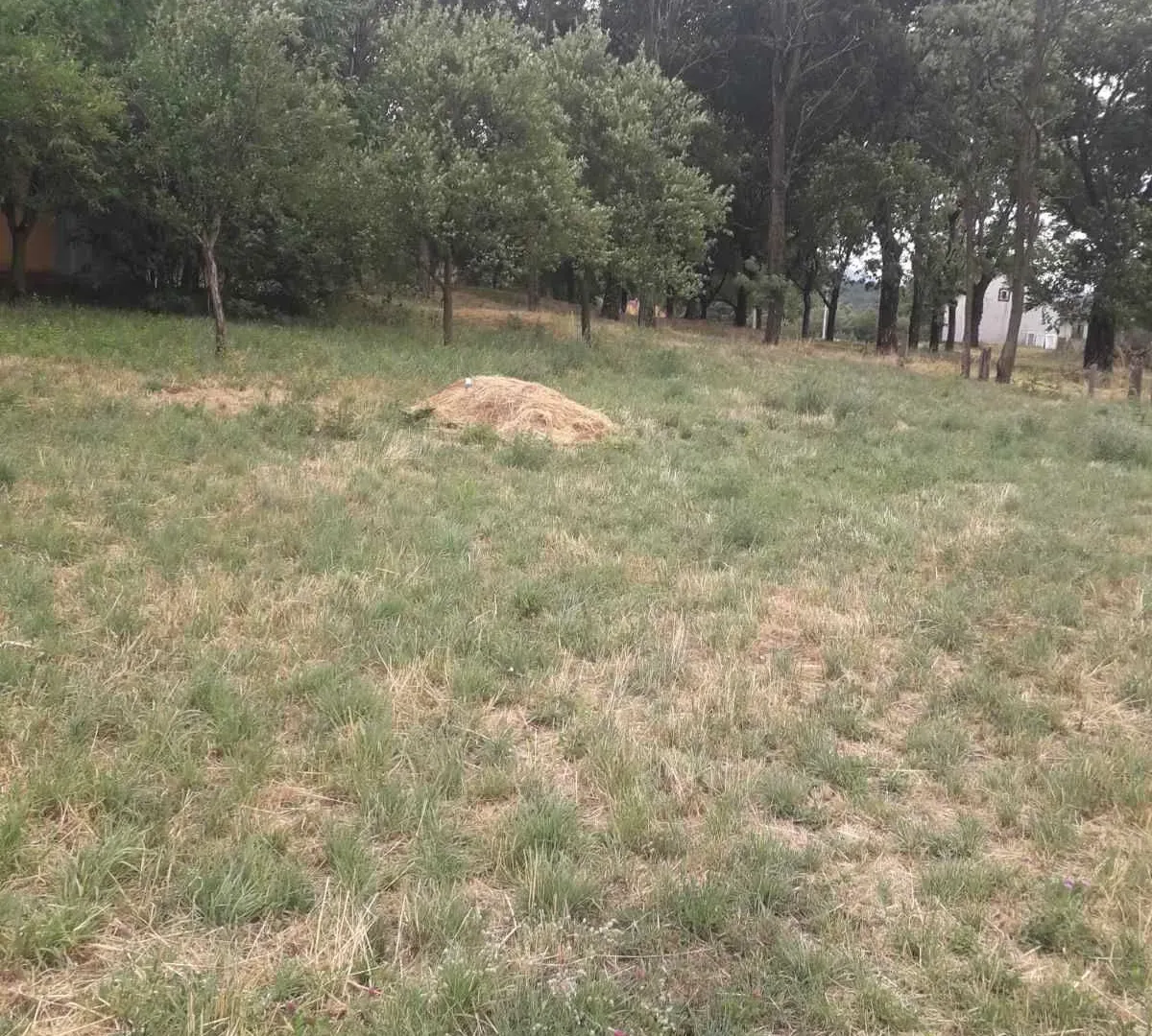 Prodaja, plac, 1000m², Nikšić, Crna Gora
