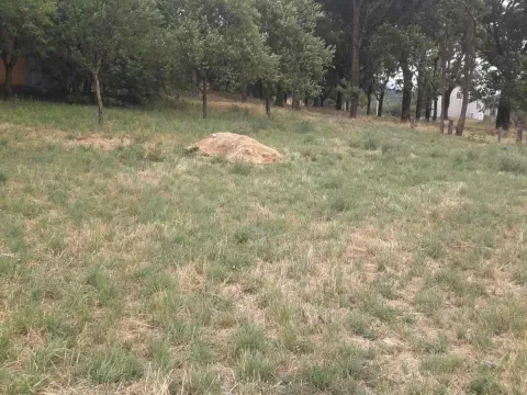 Prodaja, plac, 1000m², Nikšić, Crna Gora - image 2