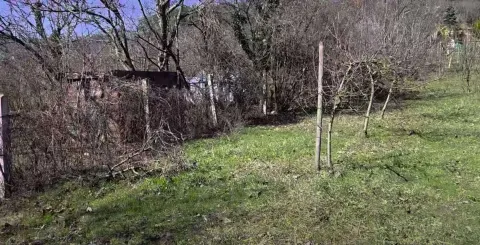 Pogled na plac obrastao travom i rastinjem sa drvećem. - image 2
