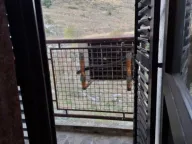 Rent, studio apartment, 30m², Malo Brdo, Podgorica - image 6