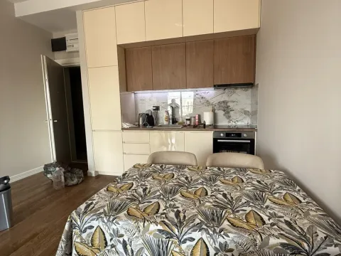 Izdavanje, jednosoban stan, 53m², Dumidran, Tivat - image 5