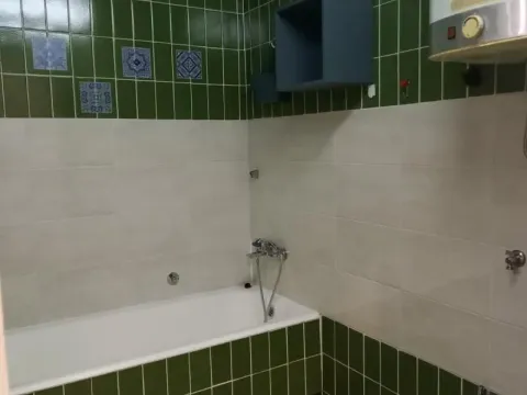 Rent, two bedroom apartment, 60m², Zemun Centar, Zemun Sve Podlokacije - image 8