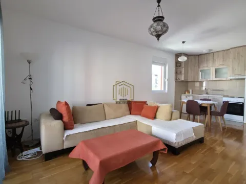 Izdavanje, jednosoban stan, 51m², Ljubović, Podgorica - image 7