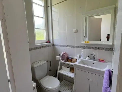 Prodaja, kuća, 320m², Fruška Gora, Novi Sad - image 11