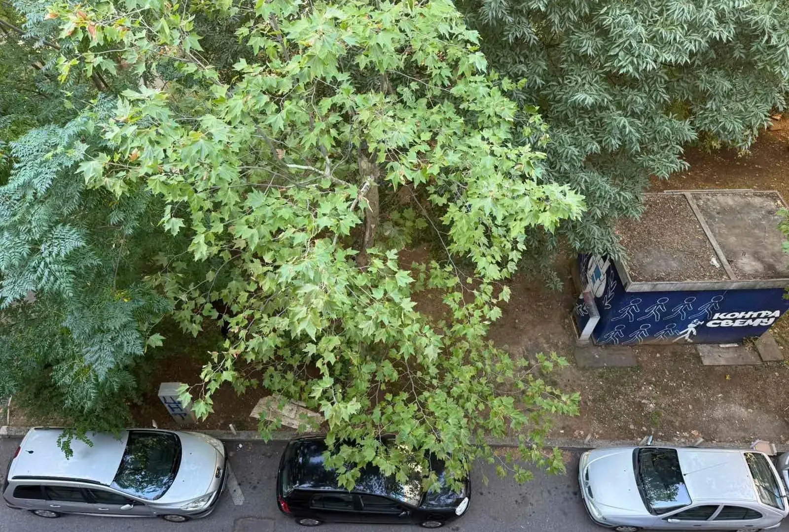 Izdavanje, jednosoban stan, 50m², Centar, Podgorica