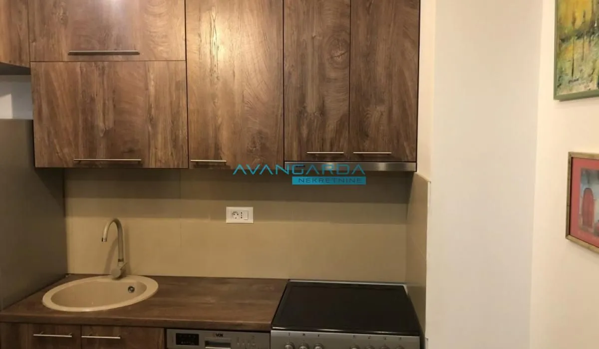 Izdavanje, stan, 46m², Dorćol Sve Podlokacije, Beograd