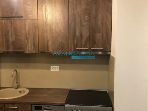 Izdavanje, stan, 46m², Dorćol Sve Podlokacije, Beograd - image 11