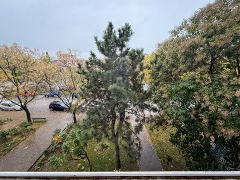 Prodaja, trosoban stan, 92m², Zabjelo, Podgorica - image 12