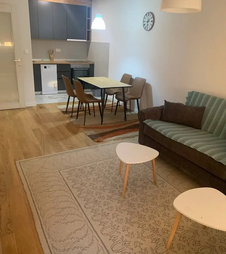 Izdavanje, jednosoban stan, 49m², Central Point, Podgorica