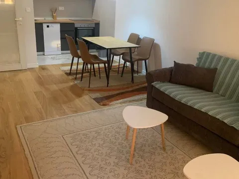 Izdavanje, jednosoban stan, 49m², Central Point, Podgorica - image 4