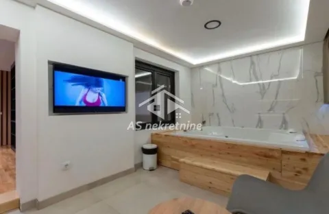 Izdavanje, dvosoban stan, 55m², Južni Bulevar, Vračar Sve Podlokacije - image 20
