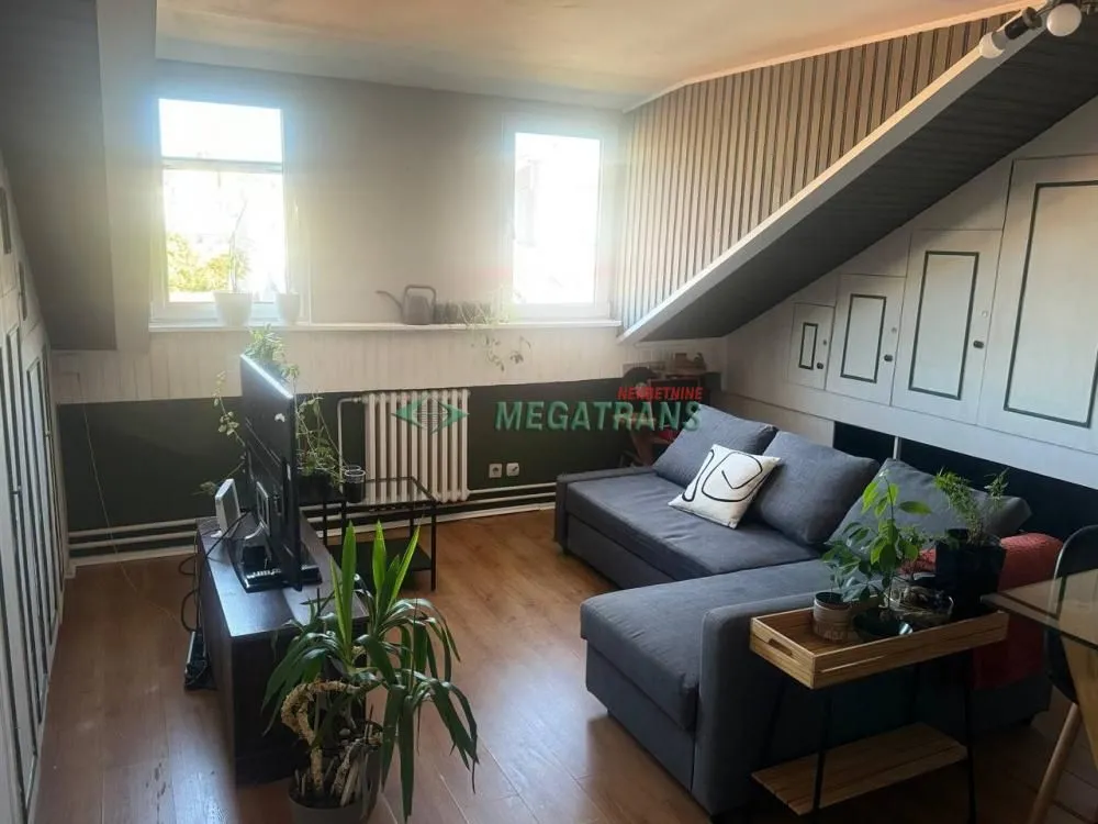Rent, two bedroom apartment, 55m², Vračar Sve Podlokacije, Beograd