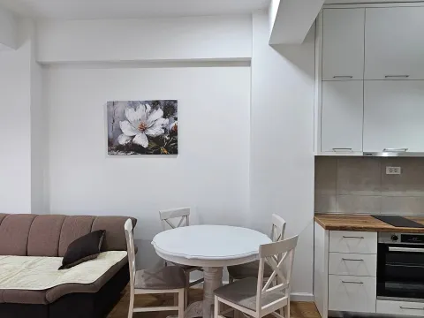 Rent, one bedroom apartment, 35m², Ljubović, Podgorica - image 2