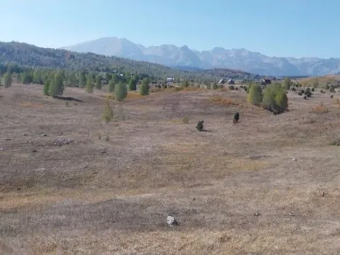 Prodaja, plac, 2163m², Tepačko polje, Žabljak - image 5