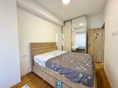 Rent, one bedroom apartment, 45m², Ljubović, Podgorica - image 9