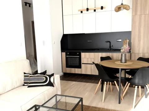 Rent, apartment, 37m², Tološi, Podgorica - image 3