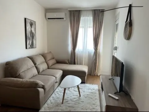 Izdavanje, jednosoban stan, 44m², Pobrežje, Podgorica - image 7