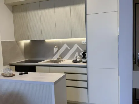 Izdavanje, dvosoban stan, 47m², Telep, Novi Sad Sve Podlokacije - image 4