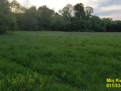 Prodaja, plac, 5400m², Draževac, Obrenovac - image 3