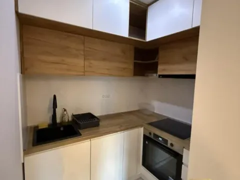 Izdavanje, dvosoban stan, 47m², Južni Bulevar, Vračar Sve Podlokacije - image 4