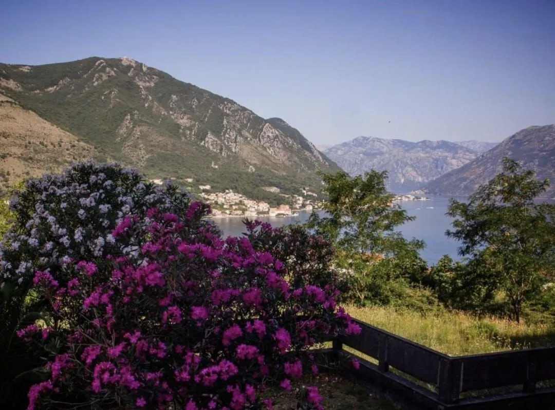 Sale, one bedroom apartment, 47m², Dobrota, Kotor