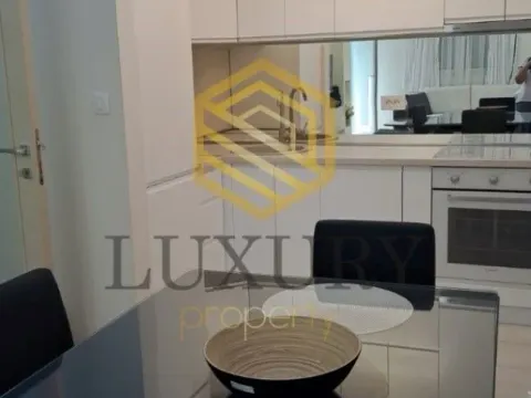 Izdavanje, jednosoban stan, 45m², Zagorič, Podgorica - image 10