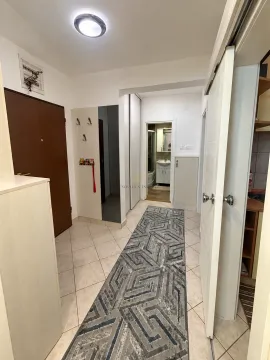 Izdavanje, jednosoban stan, 46m², Stari Aerodrom, Podgorica - image 5