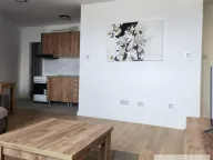 Izdavanje, jednosoban stan, 48m², Bulevar patrijarha Pavla, Novi Sad Sve Podlokacije - image 5