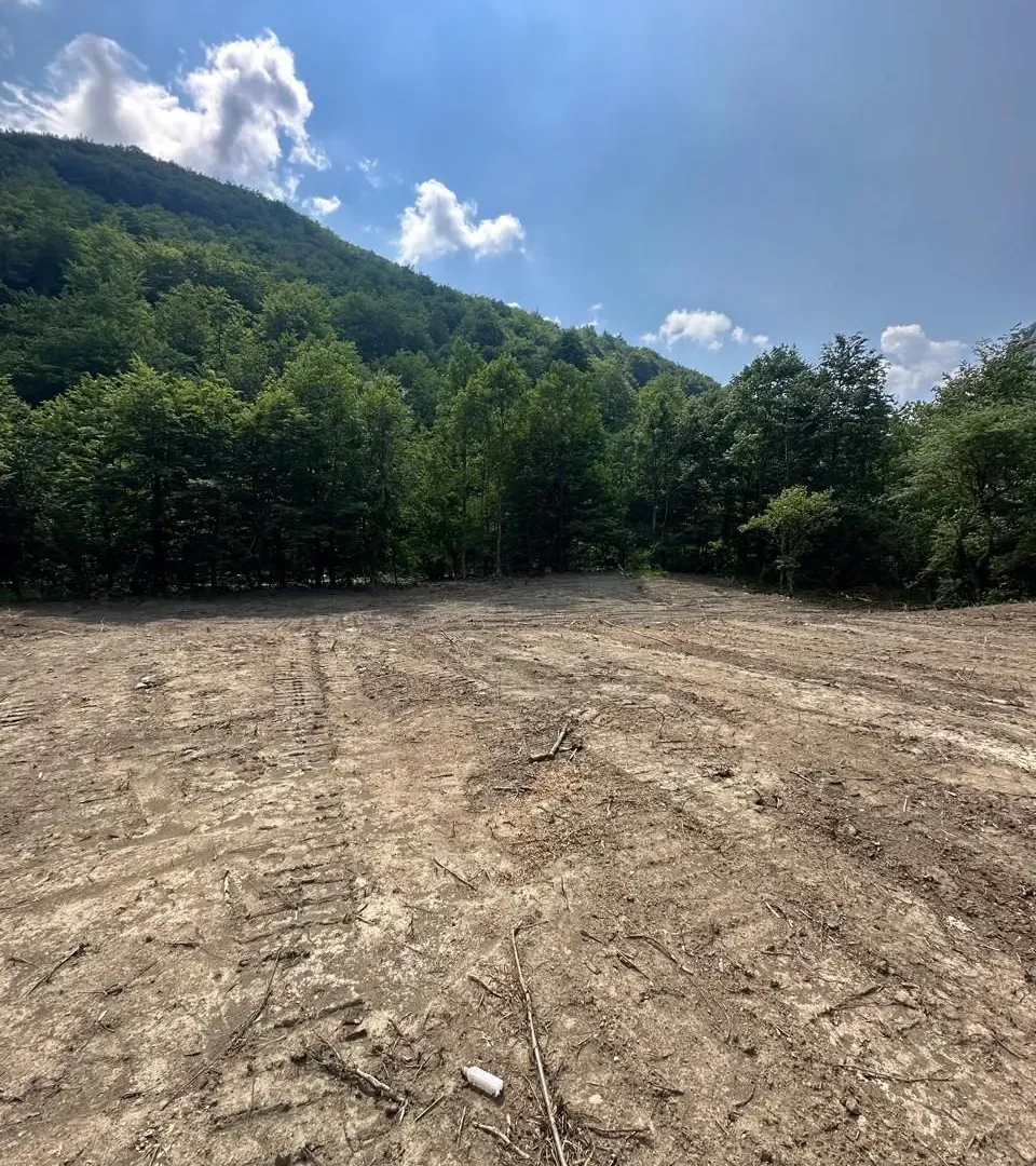 Prodaja, plac, 3239m², Moračko Trebaljevo, Kolašin