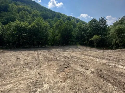 Prodaja, plac, 3239m², Moračko Trebaljevo, Kolašin - image 7