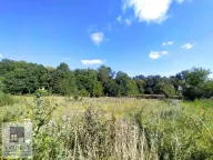 Prodaja, plac, 14m², Murgaš, Ub - image 4