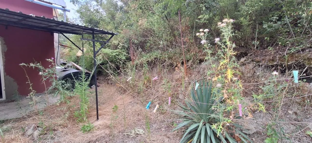Prodaja, kuća, 40m², Đurmani, Bar