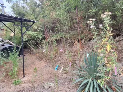 Sale, house, 40m², Đurmani, Bar - image 11