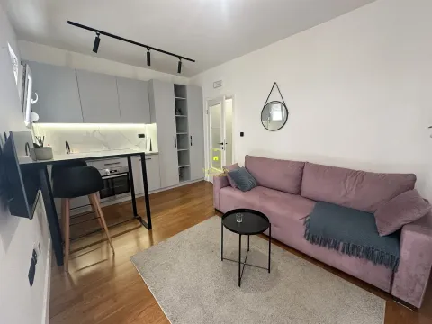 Izdavanje, garsonjera, 24m², Zagorič, Podgorica - image 5